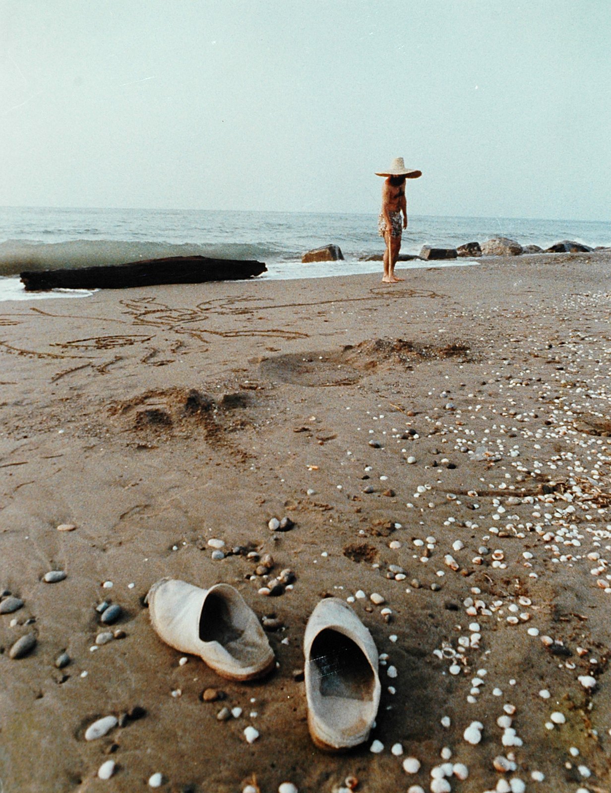 Bahram Dabiri — 200