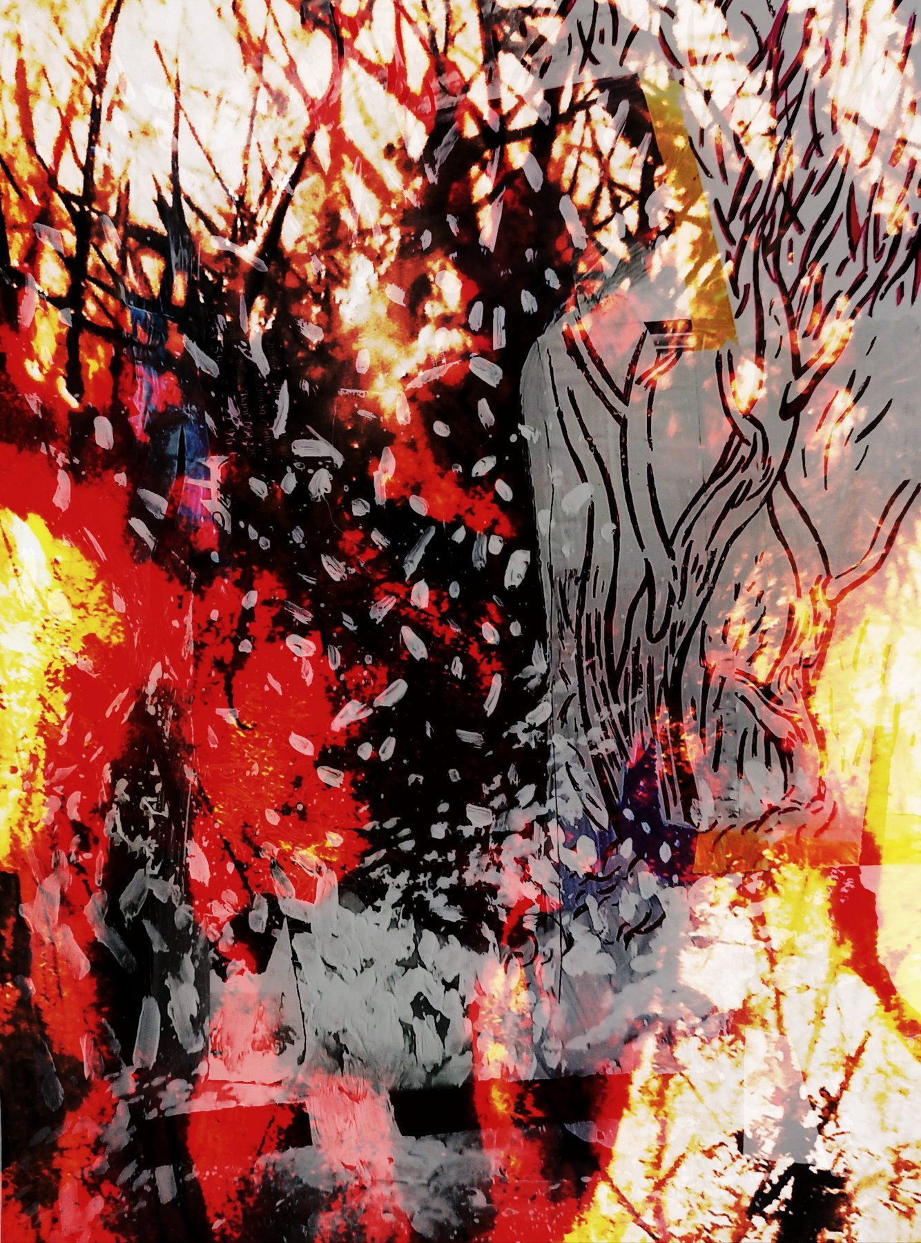Navid Mirzaei Kordlar — Fire Forest 01