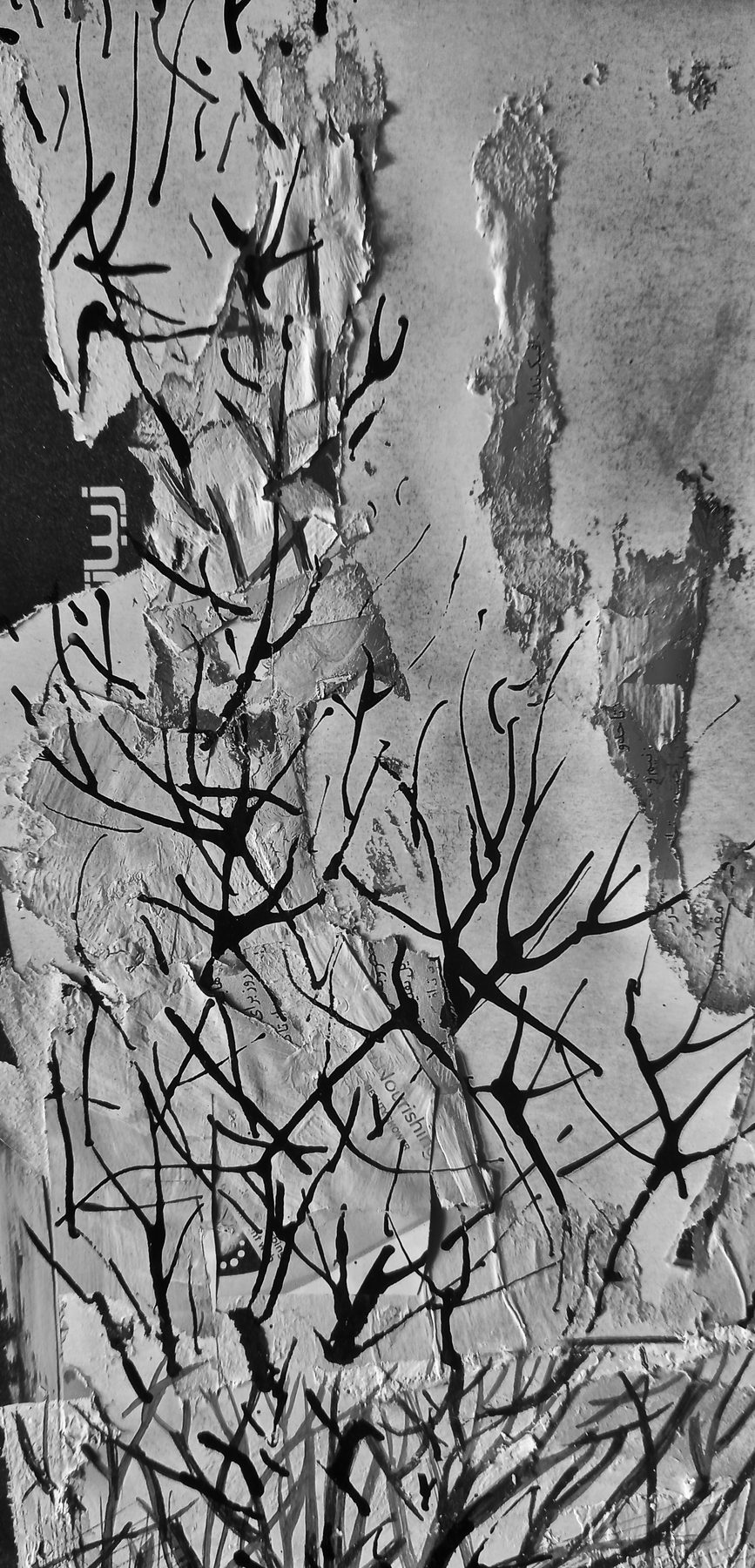 Navid Mirzaei Kordlar — Fire Forest 02
