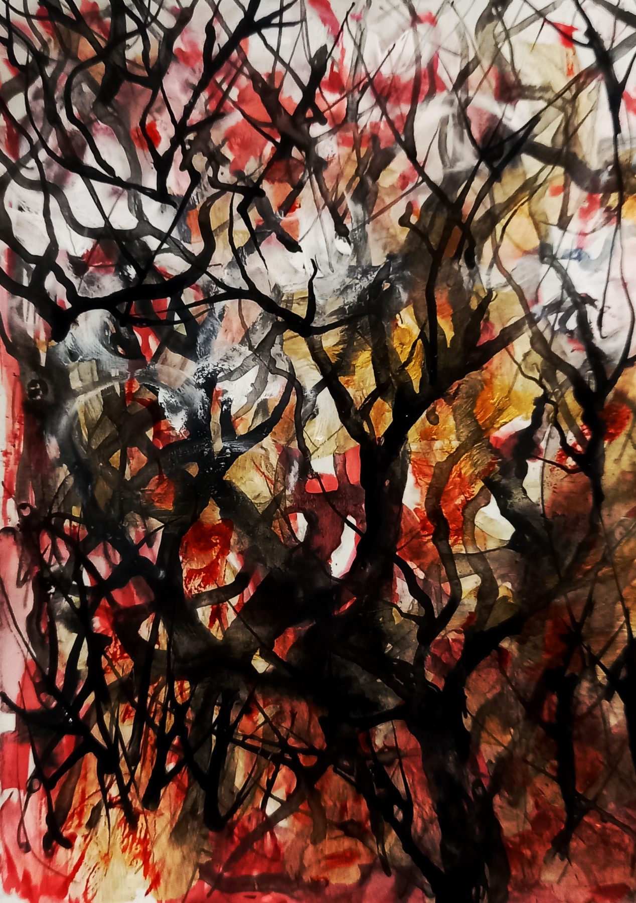 Navid Mirzaei Kordlar — Fire Forest 14