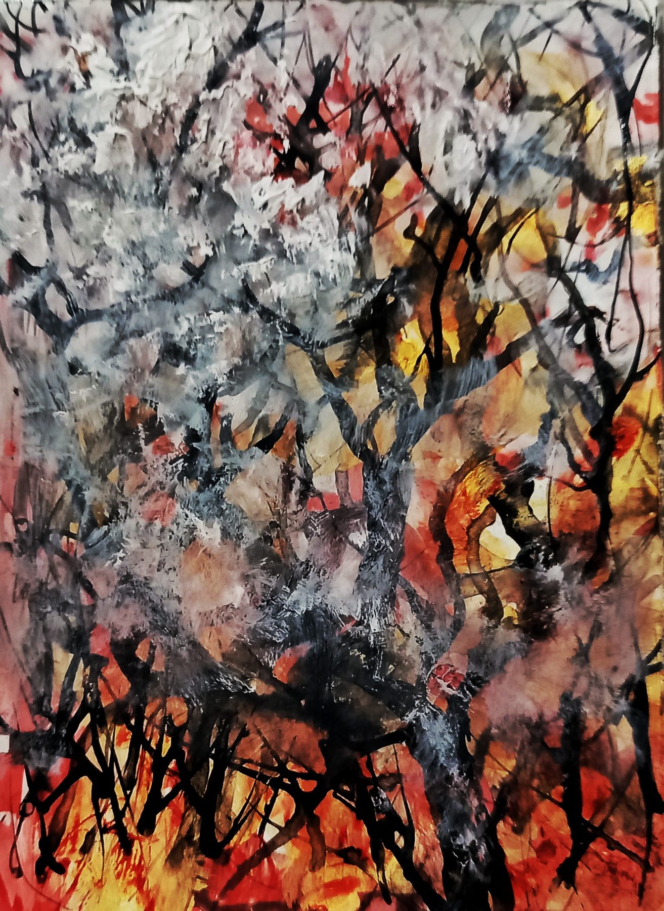 Navid Mirzaei Kordlar — Fire Forest 15