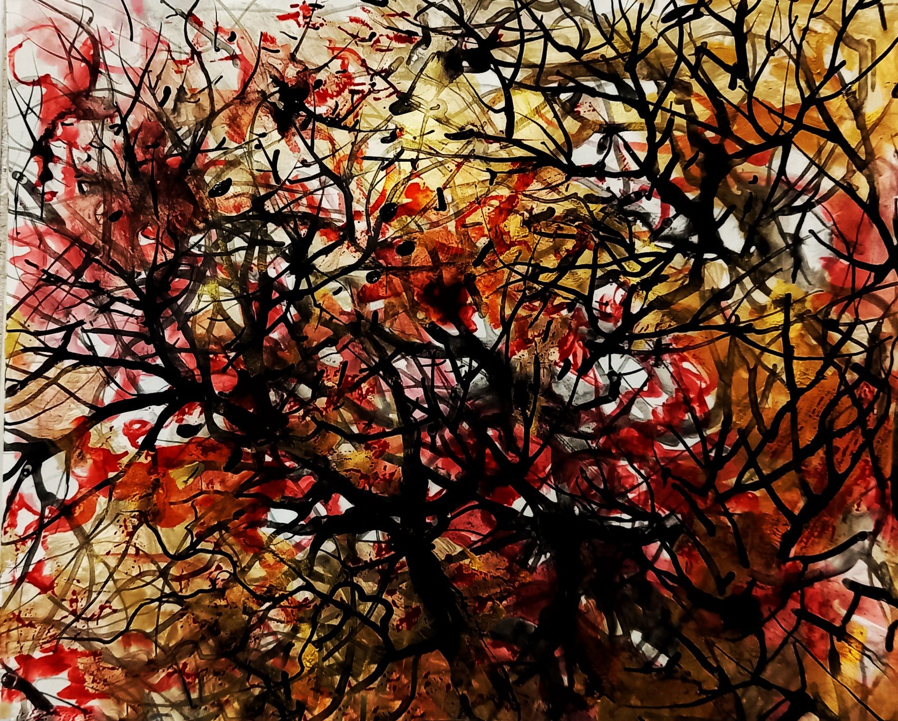 Navid Mirzaei Kordlar — Fire Forest 17