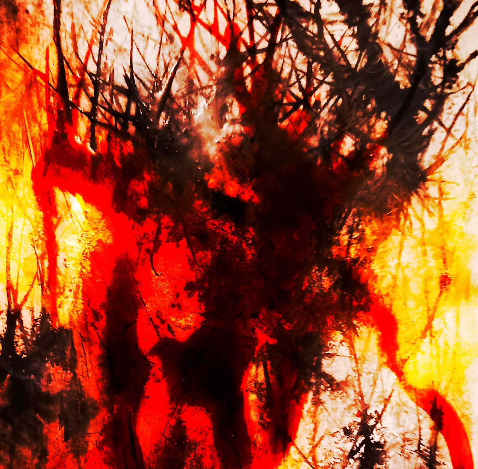 Navid Mirzaei Kordlar — Fire Forest 21