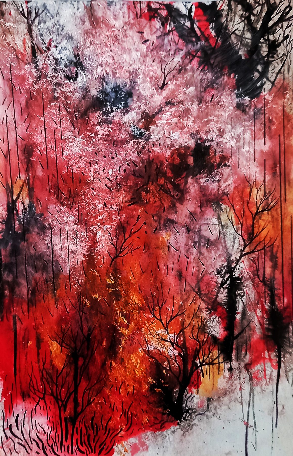 Navid Mirzaei Kordlar — Fire Forest 25