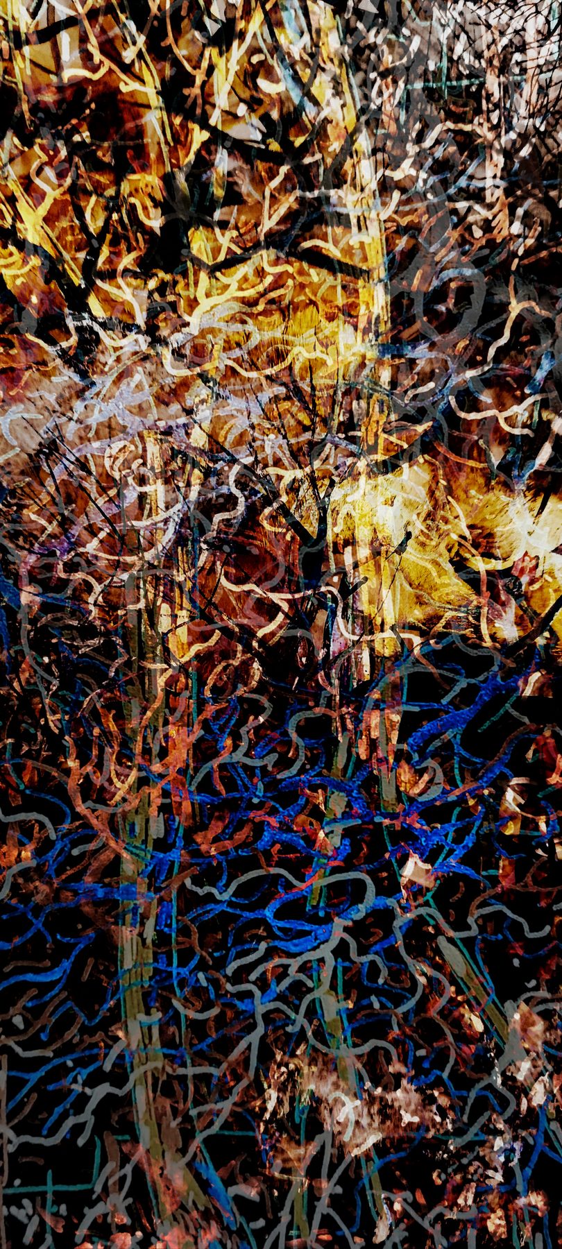 Navid Mirzaei Kordlar — Fire Forest 32
